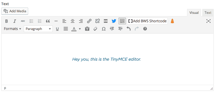 TinyMCE editor in Wordpress