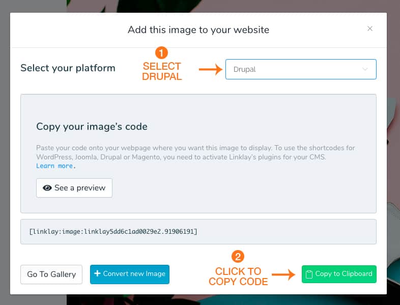 screenshot of drupals copy code popup